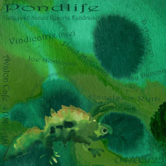 Live at Pondlife @ Avalon Cafe - 4th May 2025