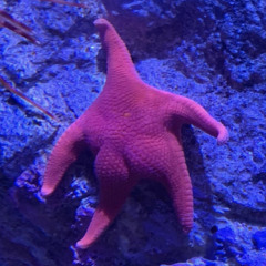 STOL! prd. by roskeyes