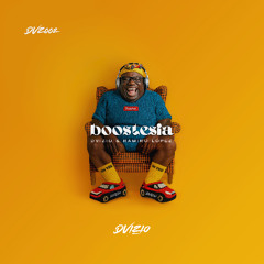 DVIZIO, Ramiro Lopez - Boostesia