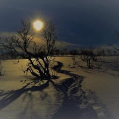 Winter Wonderland.mp3