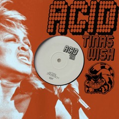 Tina Turner - Tinas Wish Acid (zakebusch 303 Edit)