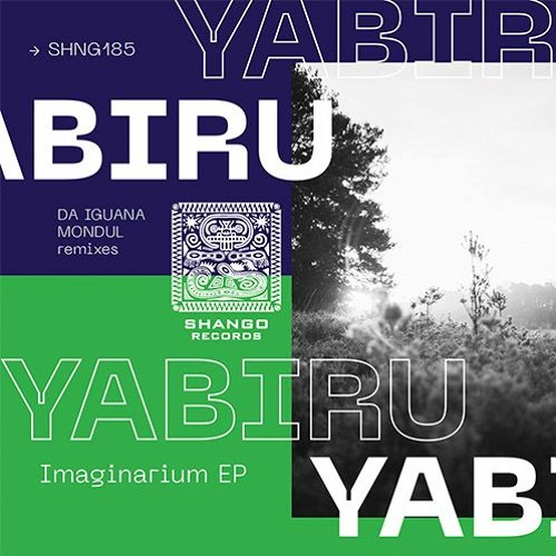 Yabiru-Imaginarium (Da Iguana Meditaremix)