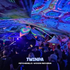 Twinpa live @ Psychedelicate Munich - Goa Trance DJ Mix Set