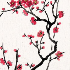 CHNZ  (prod. vcsa, sim0)