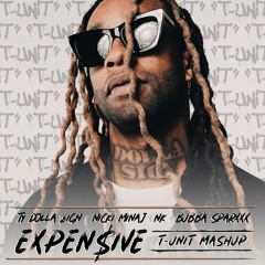 Expen$ive (T-unit Mashup)