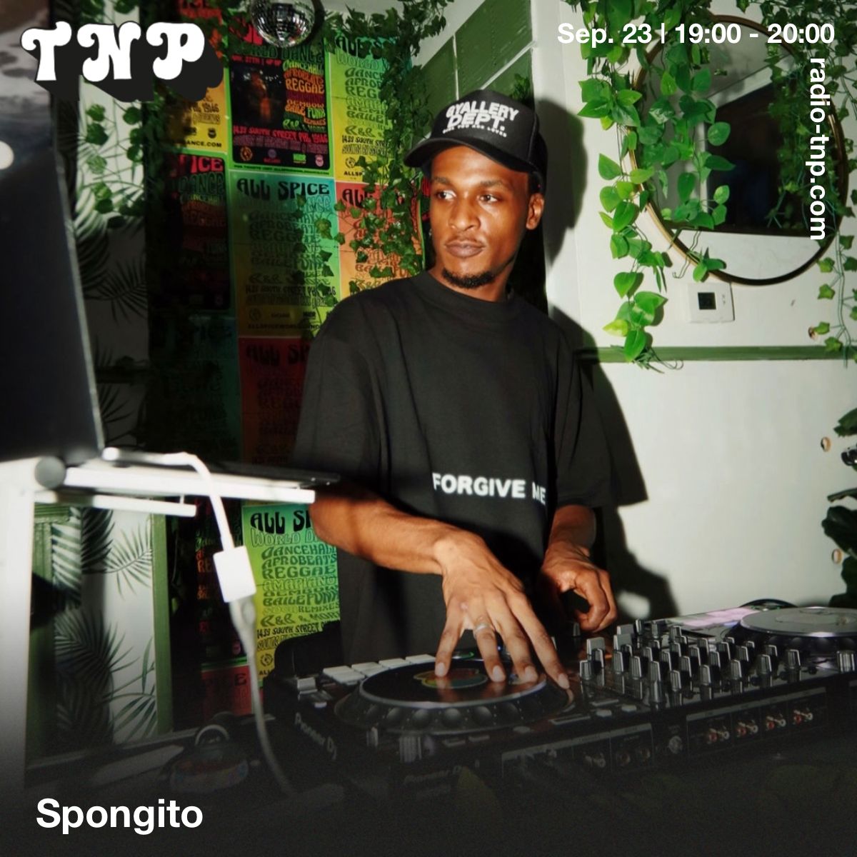Spongito