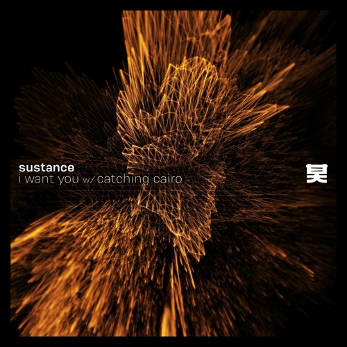 Sustance & Catching Cairo - I Want You