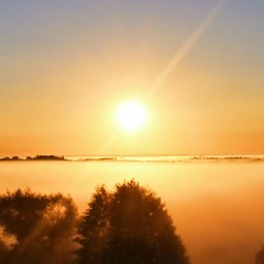 SUNLIGHT