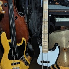 Jazz Bass Geddy Lee Noodle 1