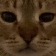 The Beauty And The Beat - Last Track For O2