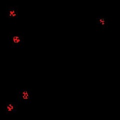(ladybugs)