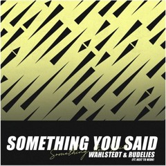 Wahlstedt & RudeLies - Something You Said (feat. Next To Neon)