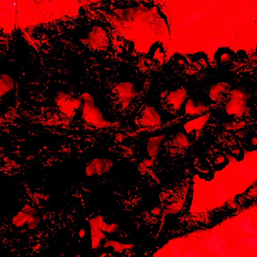 Techno & Industrial Trax Februar 24
