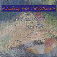 Beethoven on guitar - Sonata No 14 Moonlight 3rd Mvt (Guitar Duet)
