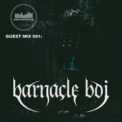 SONIC PERCEPTIONS INVITES: barnacle boi (VOL. 001)