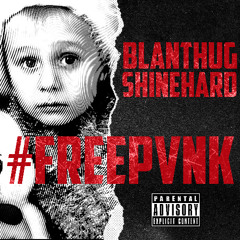 FREEPVNK x shinehard812