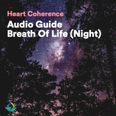 Heart Coherence Exercise "Breath Of Life (Night)" | Cardiac Coherence