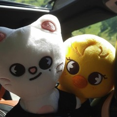 "stray kids- Charmer (sped up)"