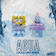 Tainy, J Balvin - Agua (LUCCA SAVI Remix)
