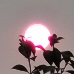 BR0K3N KR0B3N - nobody loves you original acoustic.m4a