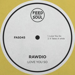 PREMIERE: Rawdio - It Takes A While [Feedasoul]