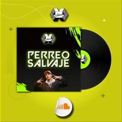 Mix Vol.1 - Perreo Salvaje