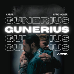 Karpe - Gunerius (Ludo Afro House Mashup)