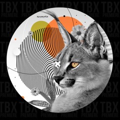 Premiere: Lin C (BR), Balestra - Cursed By The Boogie [Namata]