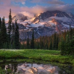 ya nabee madhaha by mohamed Shifau