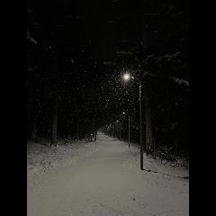 winter