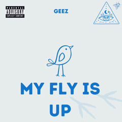 My Fly is Up