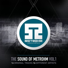 Theobald Ringer - Jon Binzo (Original Mix) [Metrohm]