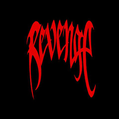 REVENGE! ft sonindigo