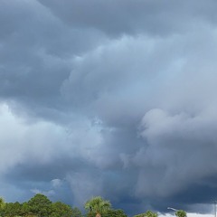 Cat Five ft. Boss Wood