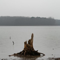 Float on a Boat [Zyru Remix]