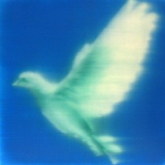 songs for Kaleidoscopic And Tender Editing