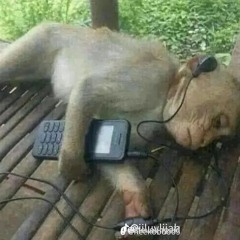 @Dj.quan_ ryding mix