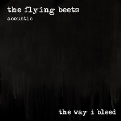 All New Music Playlist