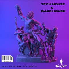Tech House & Bass House