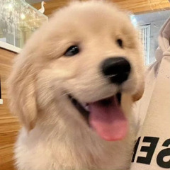 net worth prod @99heonn!