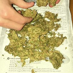 Zavtra Broshu Feat. Molly