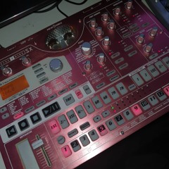KORG IM HORT