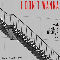 I Don't Wanna(feat. Ragnar, Greipur & BJ)