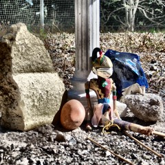 Shipwrecked by Simpa