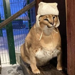 Bébé Comment Tu Penses