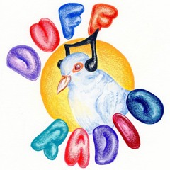 Full Duff Radio Podcast Episodes