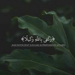 تلاوة خاشعة تبكي الصخر ♥️ || آيات للنوم والهدوء