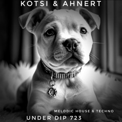 Kotsi & Ahnert UNDER DIP Ep. 723 Melodic House & Techno (123-124bpm)