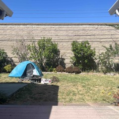 Dead Flowers (Original - Acoustic Demo)