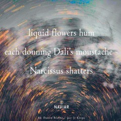 liquid flowers hum [naviarhaiku568]